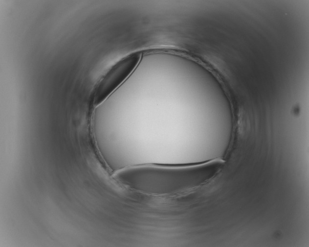 X0000112541452200909071411