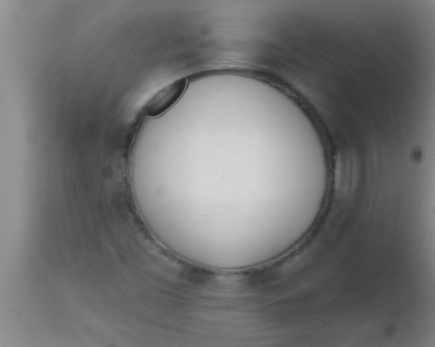 X0000112541453200909071411