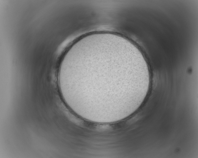 X0000112541454200909071411