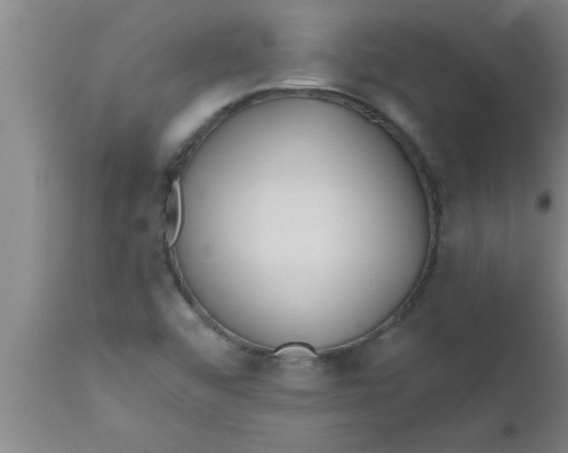 X0000112541456200909071411