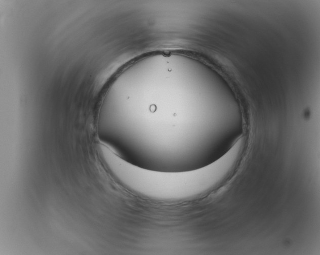 X0000112541457200909071410