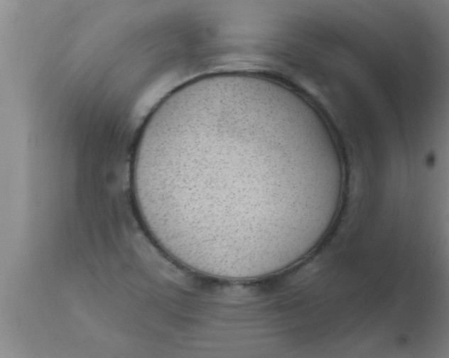 X0000112541459200909071410