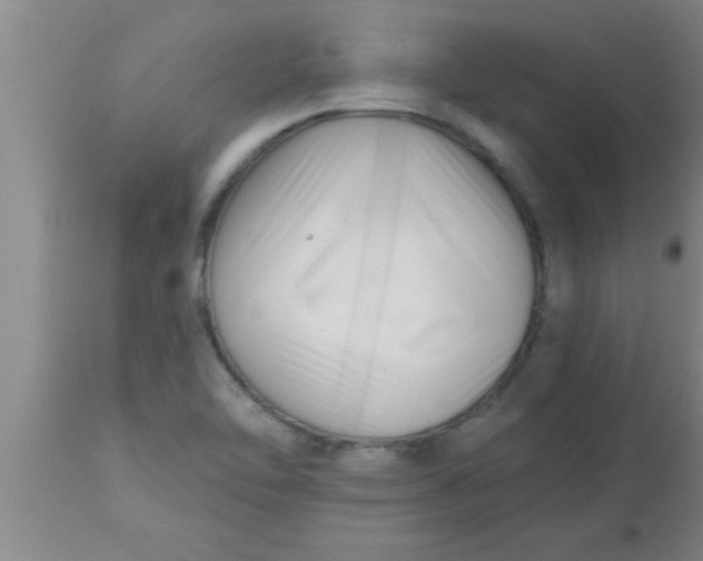 X0000112541462200909071410