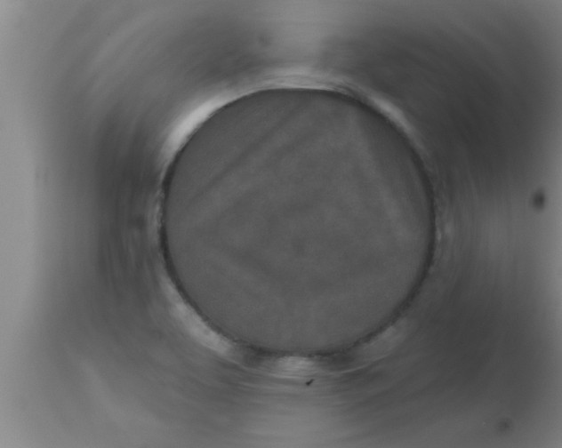 X0000112541463200909071410