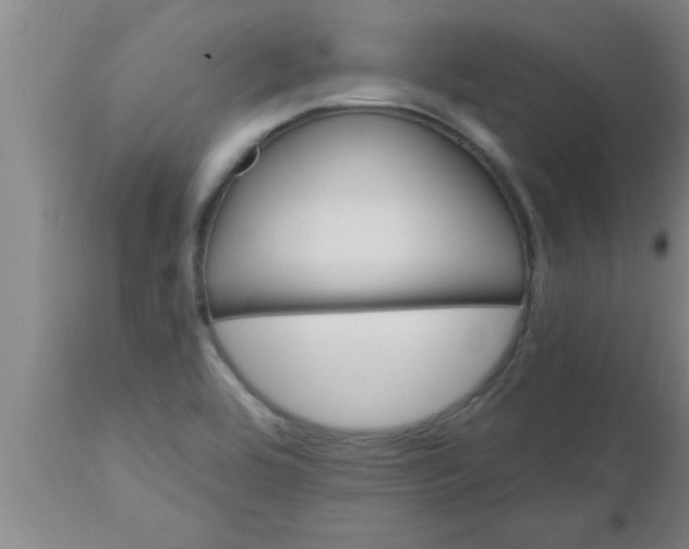 X0000112541464200909071410