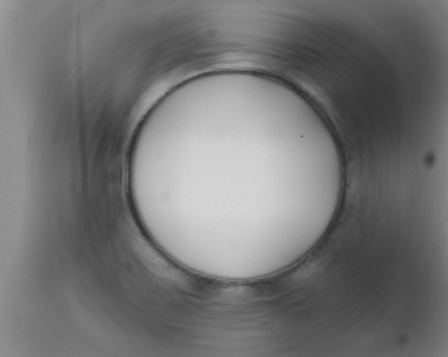 X0000112541467200909071410