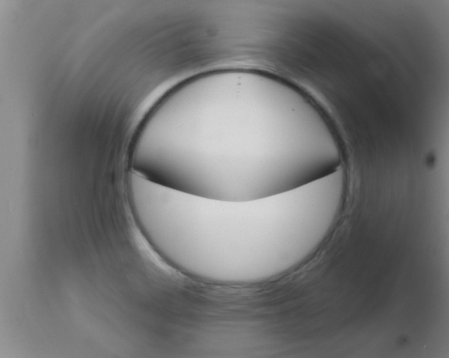 X0000112541468200909071410