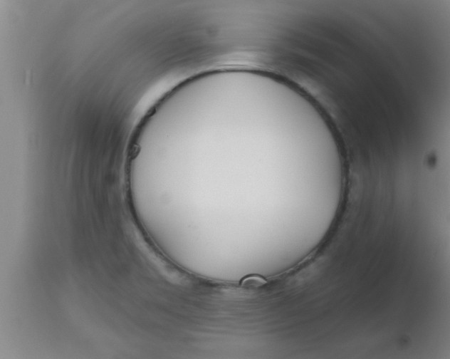 X0000112541469200909071410