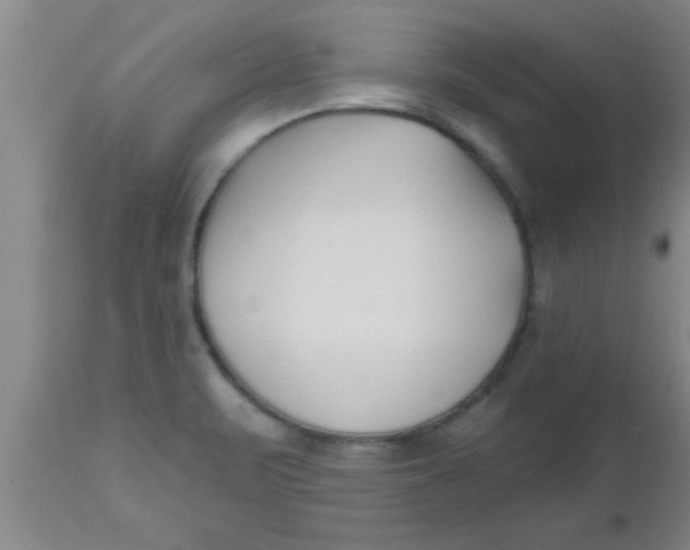 X0000112541471200909071410