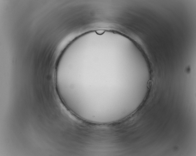 X0000112541472200909071410