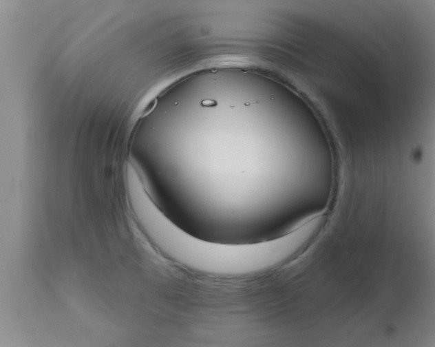 X0000112541473200909071410