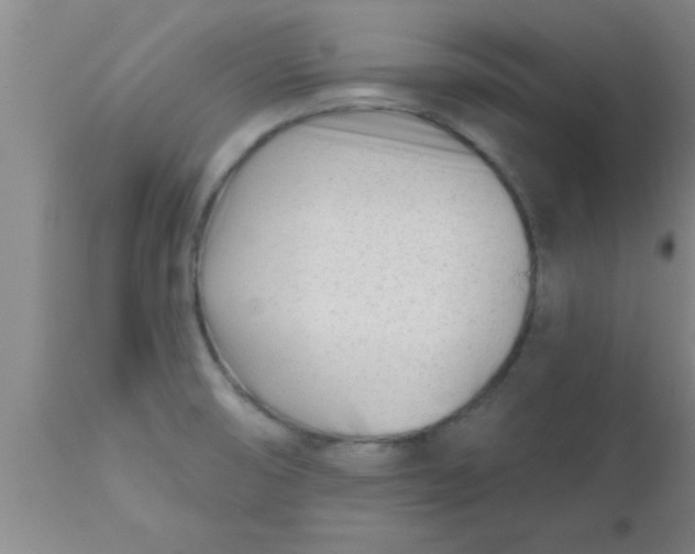 X0000112541474200909071410