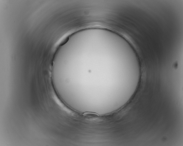 X0000112541476200909071410