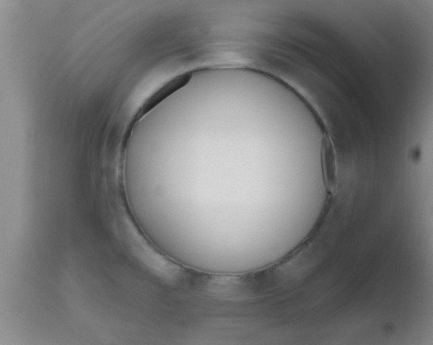 X0000112541477200909071410