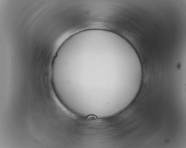 X0000112541479200909071410