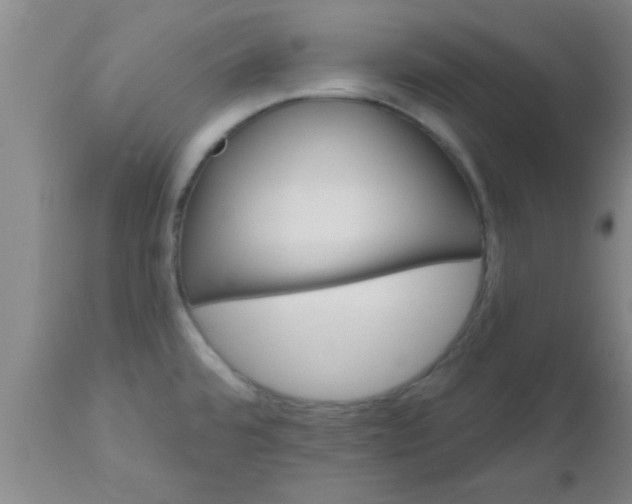 X0000112541480200909071410