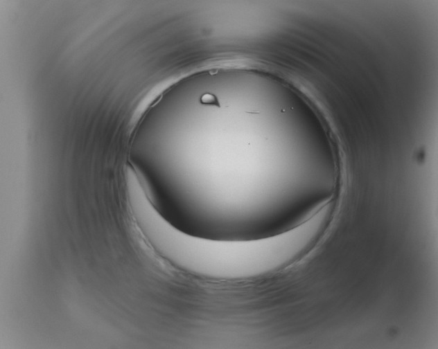 X0000112541481200909071410