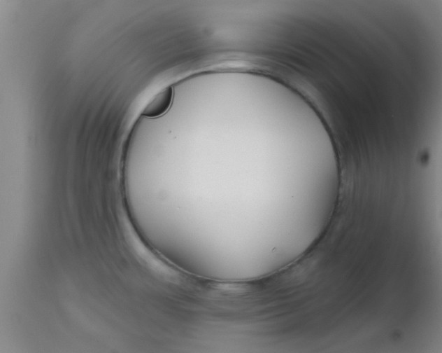 X0000112541483200909071410