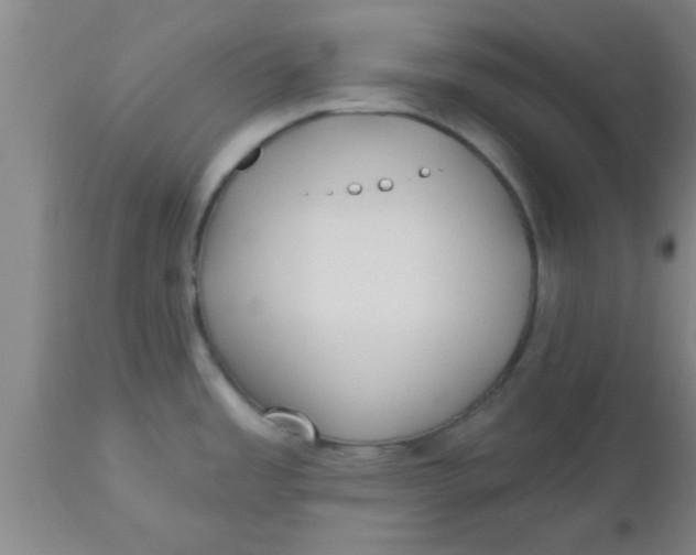 X0000112541485200909071410