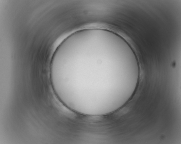 X0000112541486200909071410