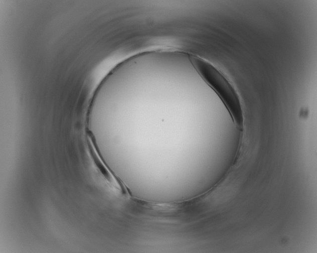 X0000112541488200909071410