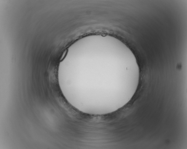 X0000112541490200909071409