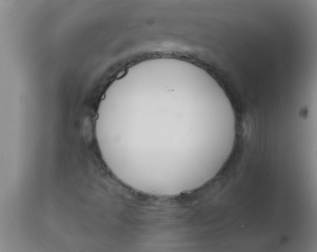 X0000112541493200909071409