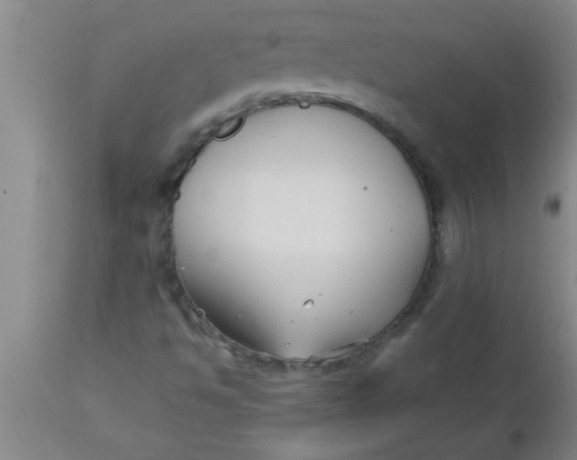 X0000112541494200909071409