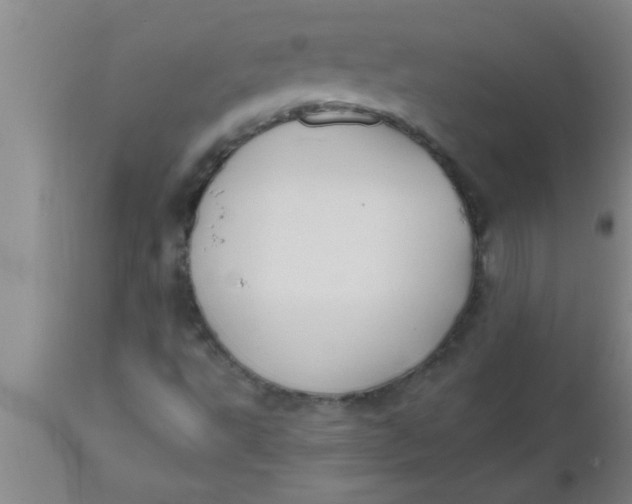 X0000112541495200909071409