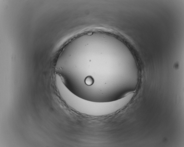 X0000112541496200909071409