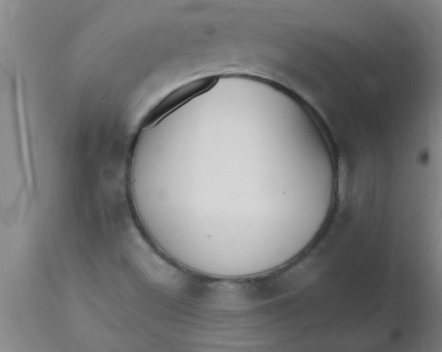 X0000112541500200909071409