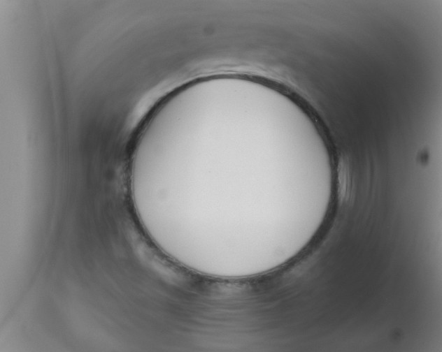 X0000112541501200909071409