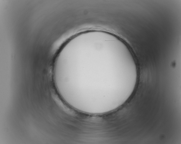 X0000112541503200909071409