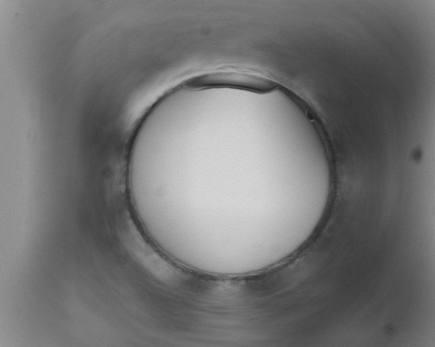 X0000112541504200909071409