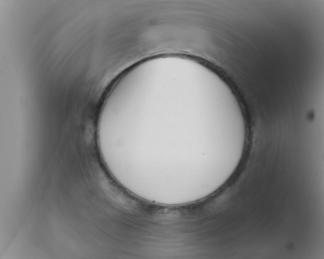 X0000112541505200909071409