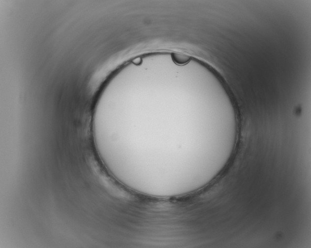 X0000112541507200909071409