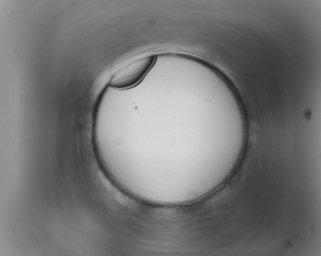 X0000112541508200909071409