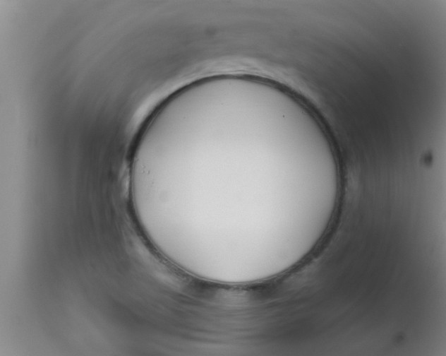 X0000112541509200909071409