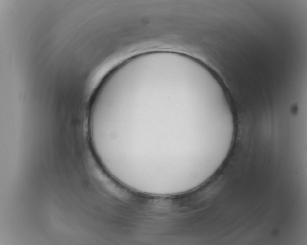 X0000112541511200909071409