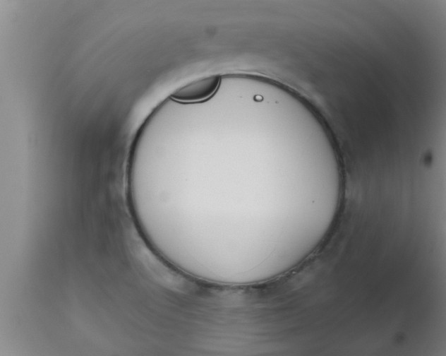 X0000112541512200909071409