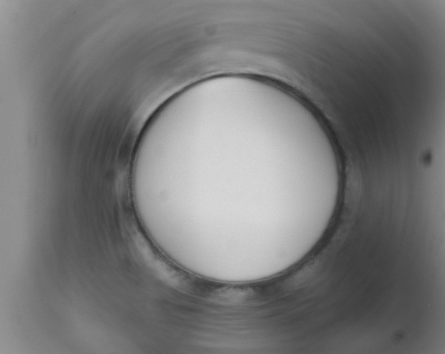 X0000112541513200909071409