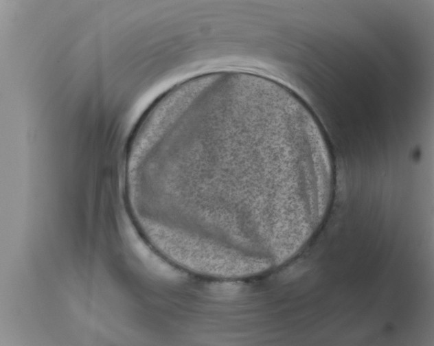 X0000112541515200909071409