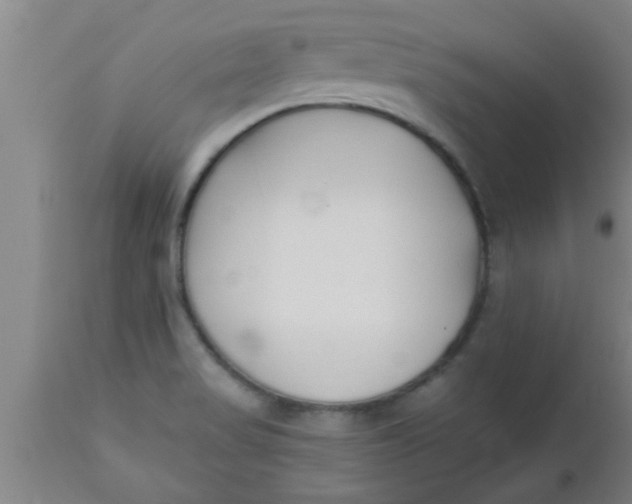 X0000112541517200909071409
