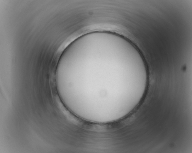 X0000112541521200909071410