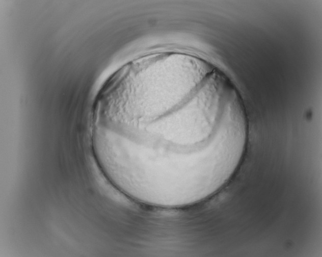 X0000112541522200909071410