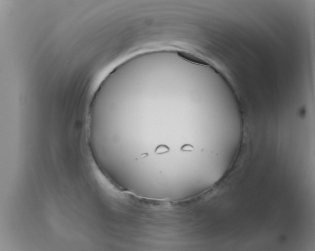X0000112541524200909071410