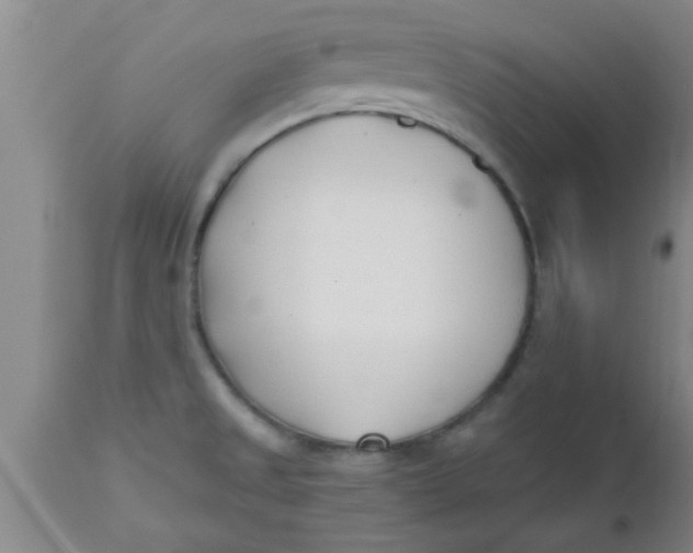 X0000112541525200909071410