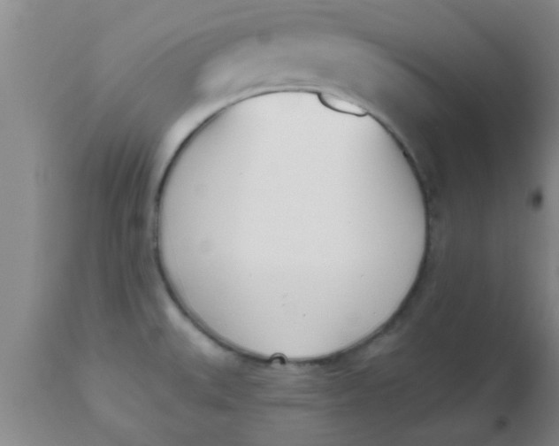 X0000112541527200909071410