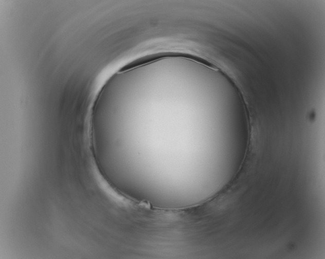 X0000112541528200909071410