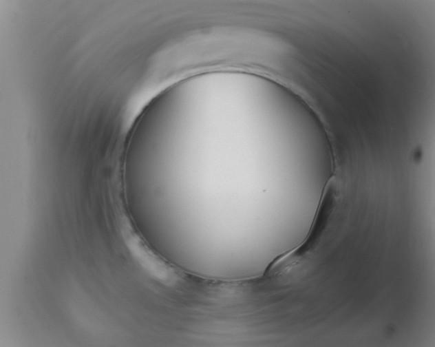 X0000112541530200909071410